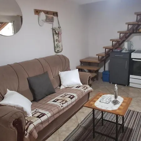 Vikendica Sejseli Na Drini Дом отдыха *